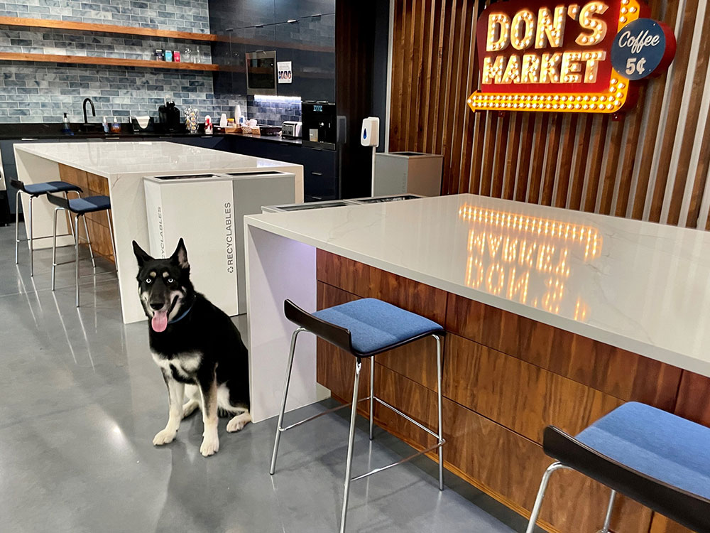 Bandit the dog sitting in front of Don's Marketplace, the Basys eating area