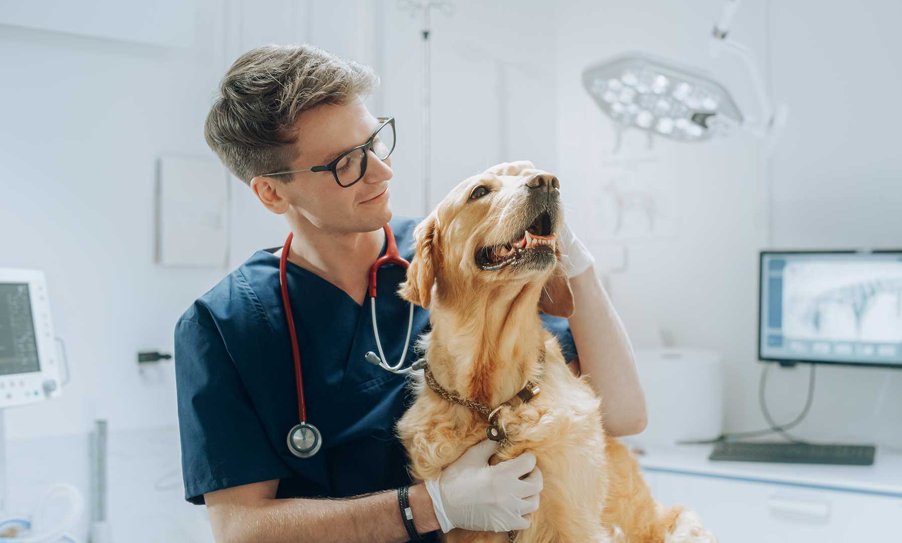 Payments That Keep Up with Vet Clinics