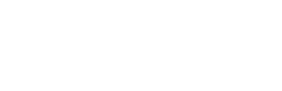 Visa logo white